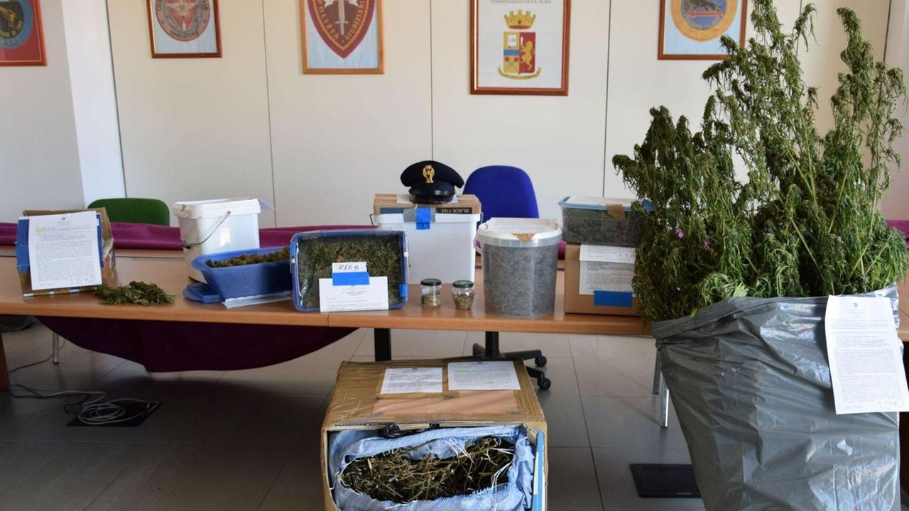 Dieci chili di marijuana sequestrati in pochi giorni