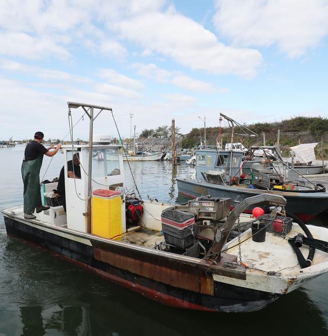 Porto Garibaldi-Goro. È finito il fermo pesca ma la crisi resta irrisolta: «Settore da rilanciare» 