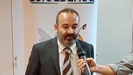Vendita Livorno, il presidente di CereaBanca: «I soldi sono già sul conto di Aldo Spinelli»