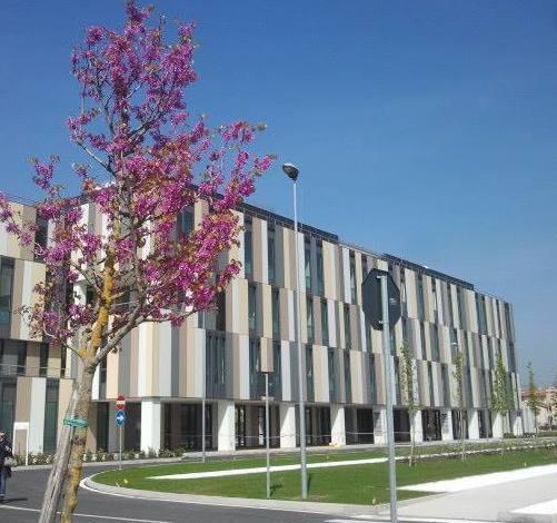 Sette nuovi positivi: uno a Lucca, tre ad Altopascio e Capannori