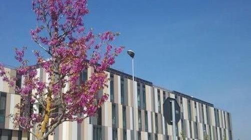 Sette nuovi positivi: uno a Lucca, tre ad Altopascio e Capannori