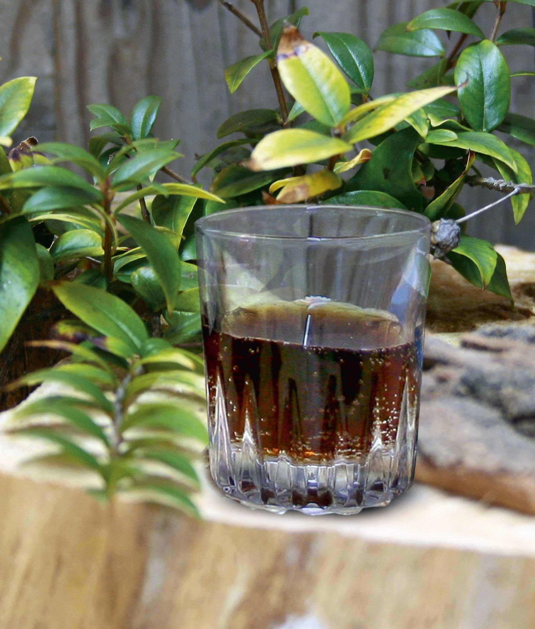 Un bicchiere di mirto