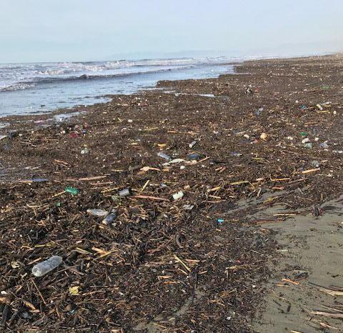 Tra i balneari avanza l’ipotesi di una gestione diretta dei rifiuti