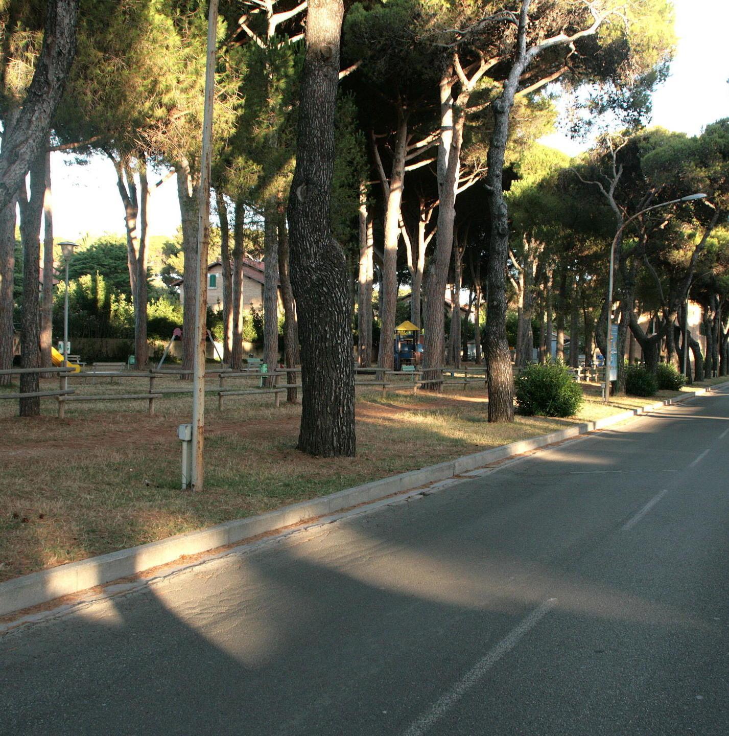 Sport di gruppo all’aperto nelle pinete Come fare richiesta