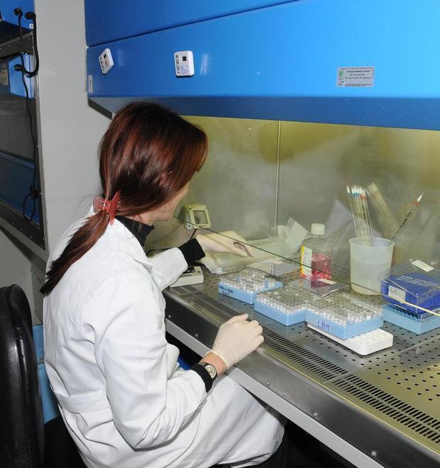 Goro, la legionella blocca l’apertura del nido e della materna 