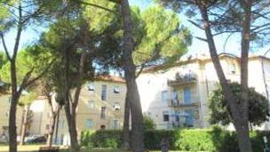 Abbattuti tre pini risultati malati e a rischio di caduta