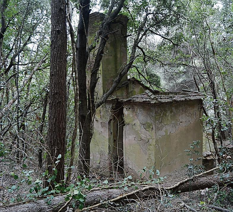 Castiglioncello, in coda per riscoprire la magia naturale delle antiche miniere alla base del Poggio 
