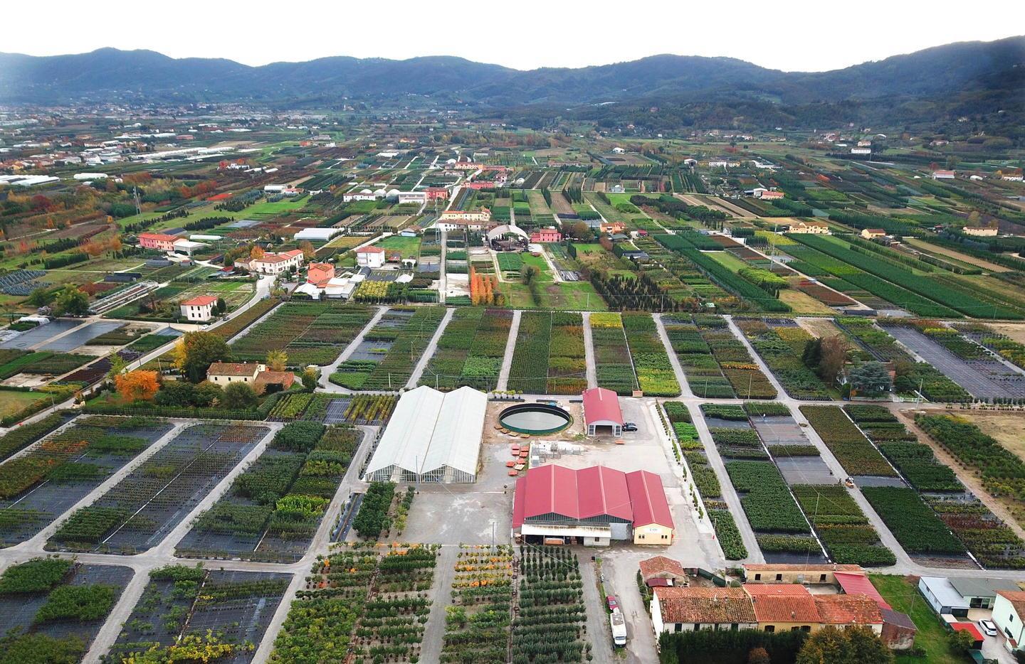 Il vivaismo alla prova dell’economia circolare