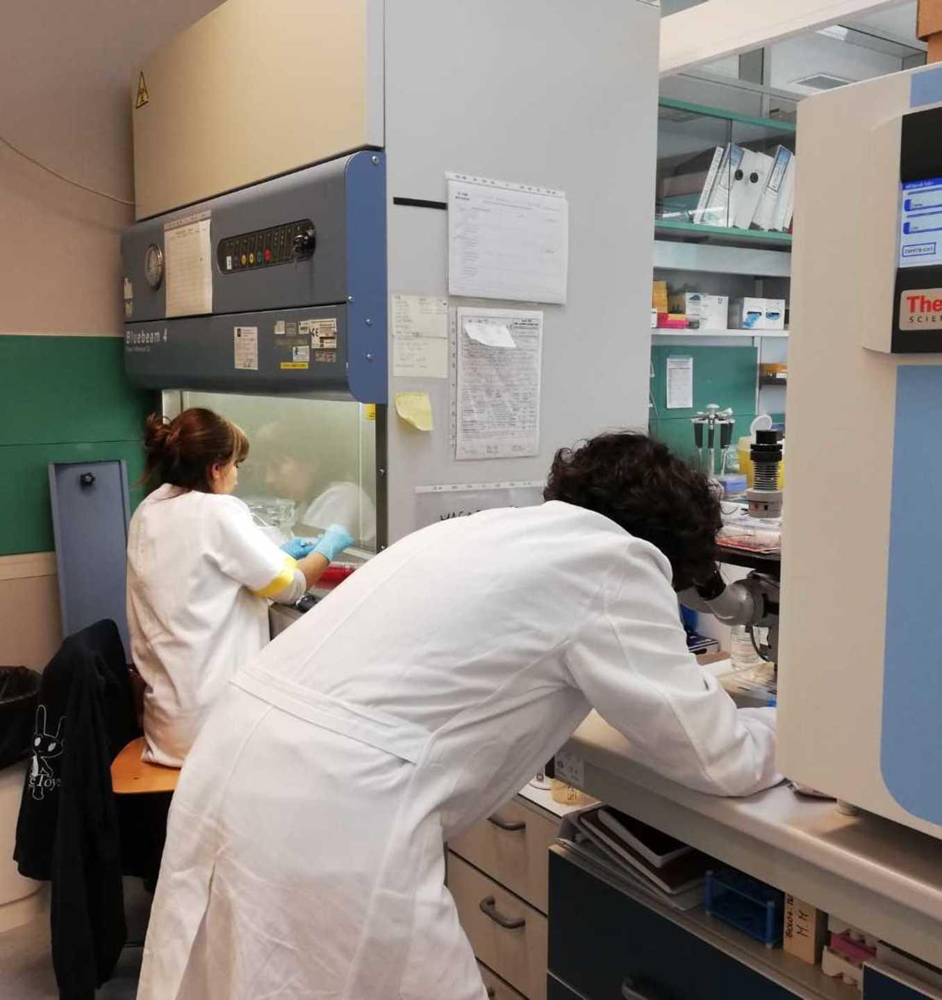 Trecentomila euro da Fondazione Caript a ricercatori under40 