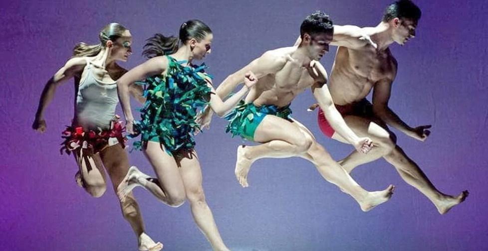 Modena Arrivano i Kataklò La danza diventa un mix di musica acrobazie e humor