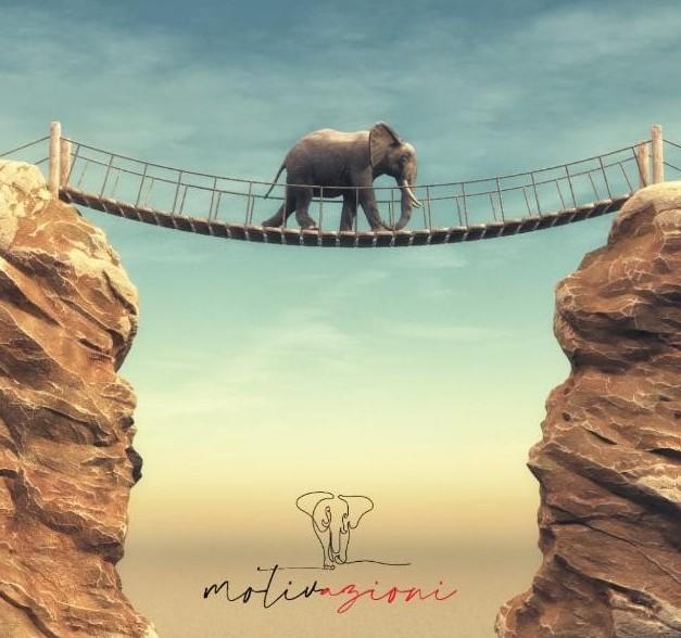 Ecco tutte le nostre storie di innovazione e passione 