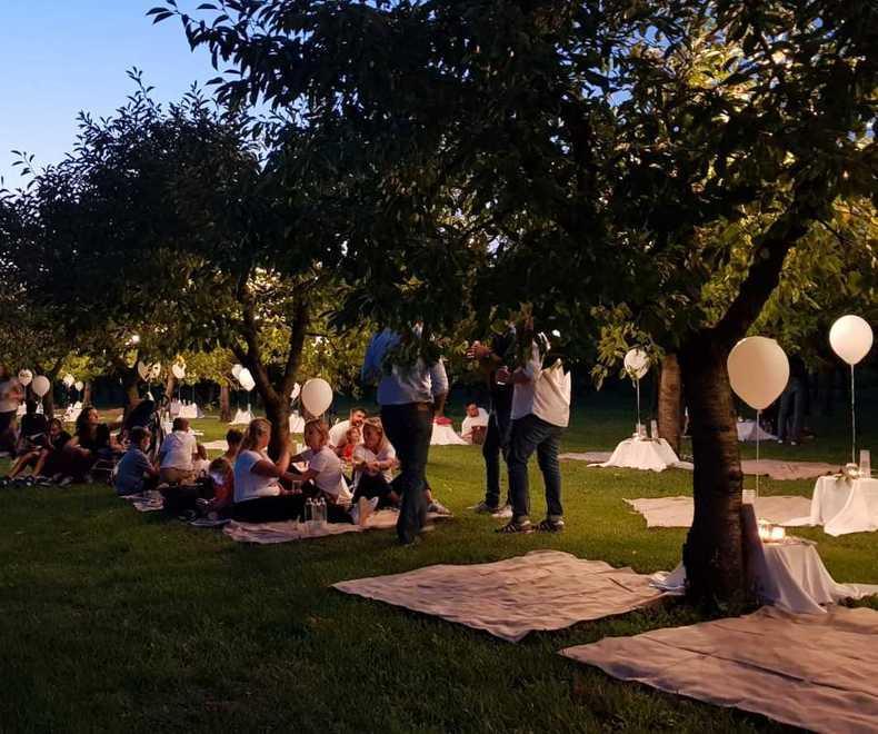Metti una sera a cena tra i lunghi filari del “bosco” di amarene di Ca’ del Rio 