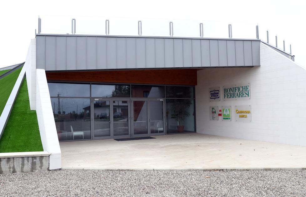 Torna l’arachide nei campi del Ferrarese. Filiera centrata su Bonifiche 
