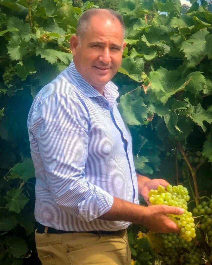 Vendemmia a Luogosanto, per Siddùra sarà una buona annata