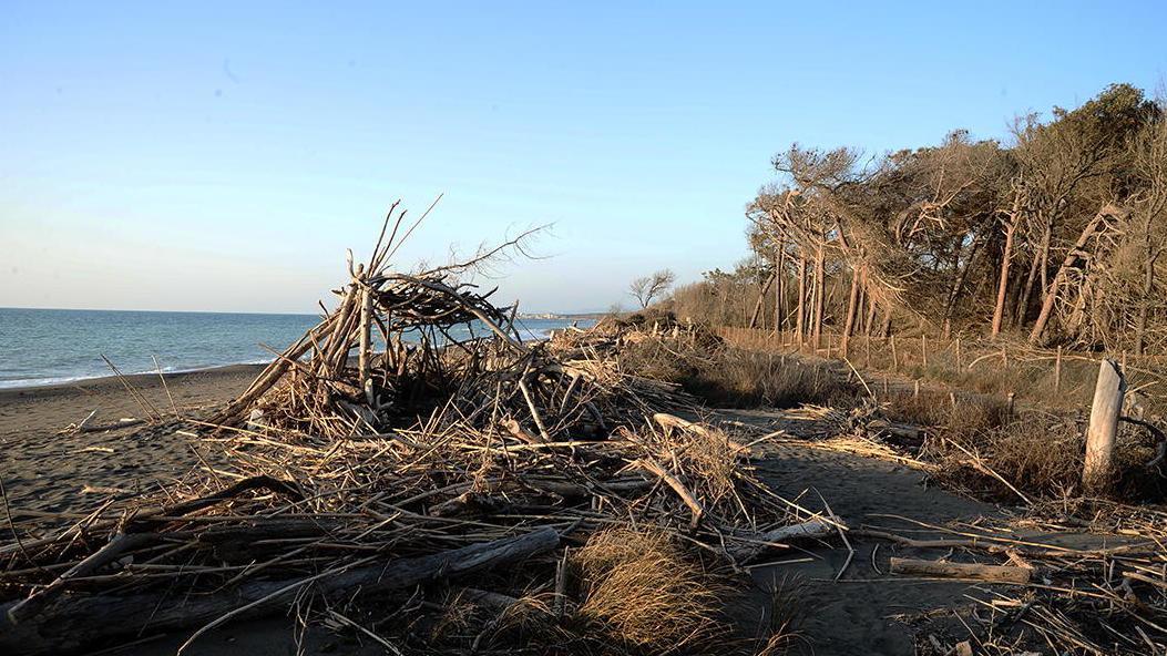 Violenza sessuale in spiaggia con 4 indagati, analisi sui telefonini per sciogliere i dubbi
