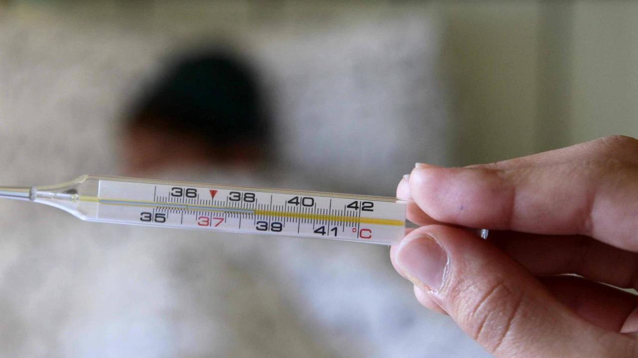 In Versilia pronti 45mila vaccini anti influenza: dai primi di ottobre