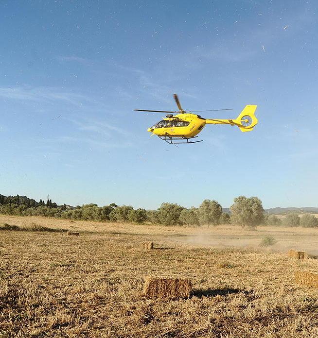 Cade da cavallo e si ferisce alla testa: ricoverato 