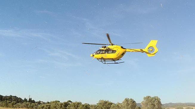 Cade da cavallo e si ferisce alla testa: ricoverato
