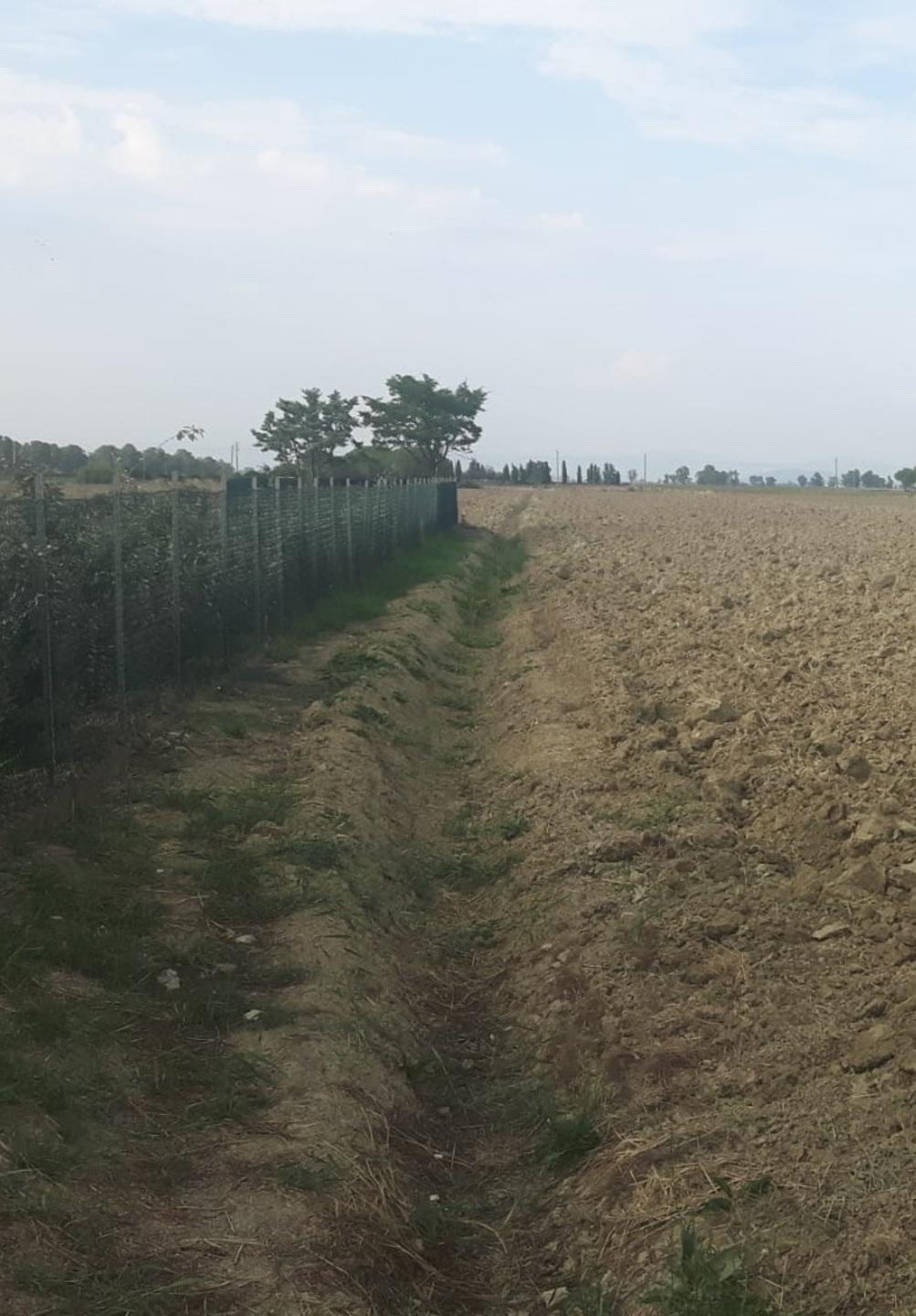 Ladri con lo spray al peperoncino scoperti e inseguiti in mezzo ai campi 