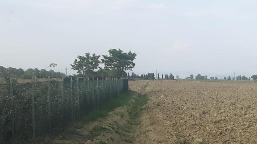 Ladri con lo spray al peperoncino scoperti e inseguiti in mezzo ai campi