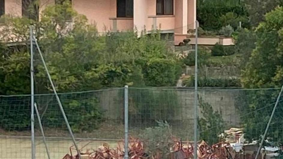 Liceo Copernico, prima campanella soltanto per sei studenti su dieci