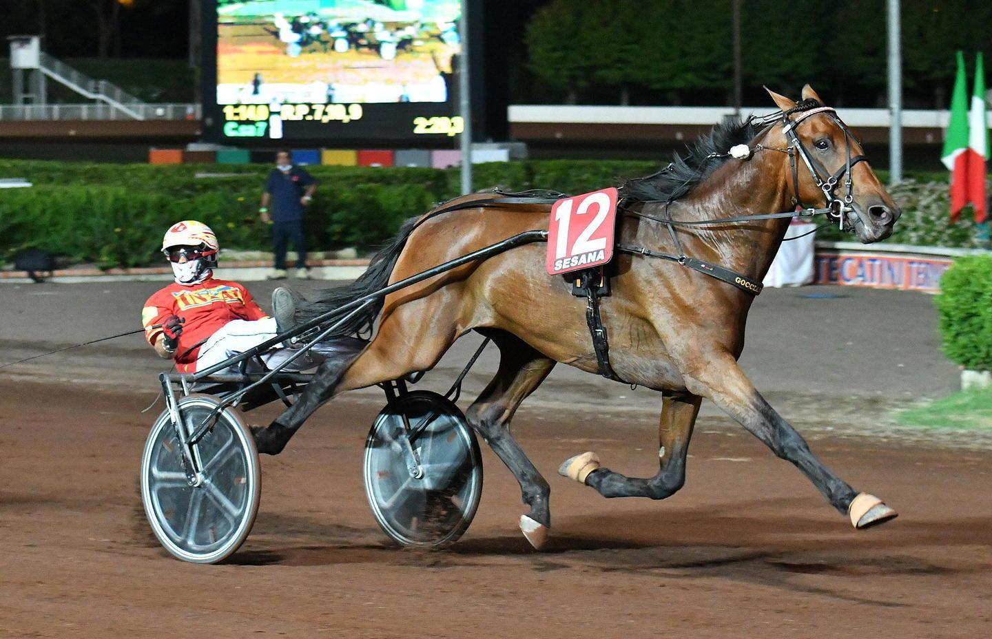 Esposito torna a Montecatini e vince il Gran Premio Bellei 