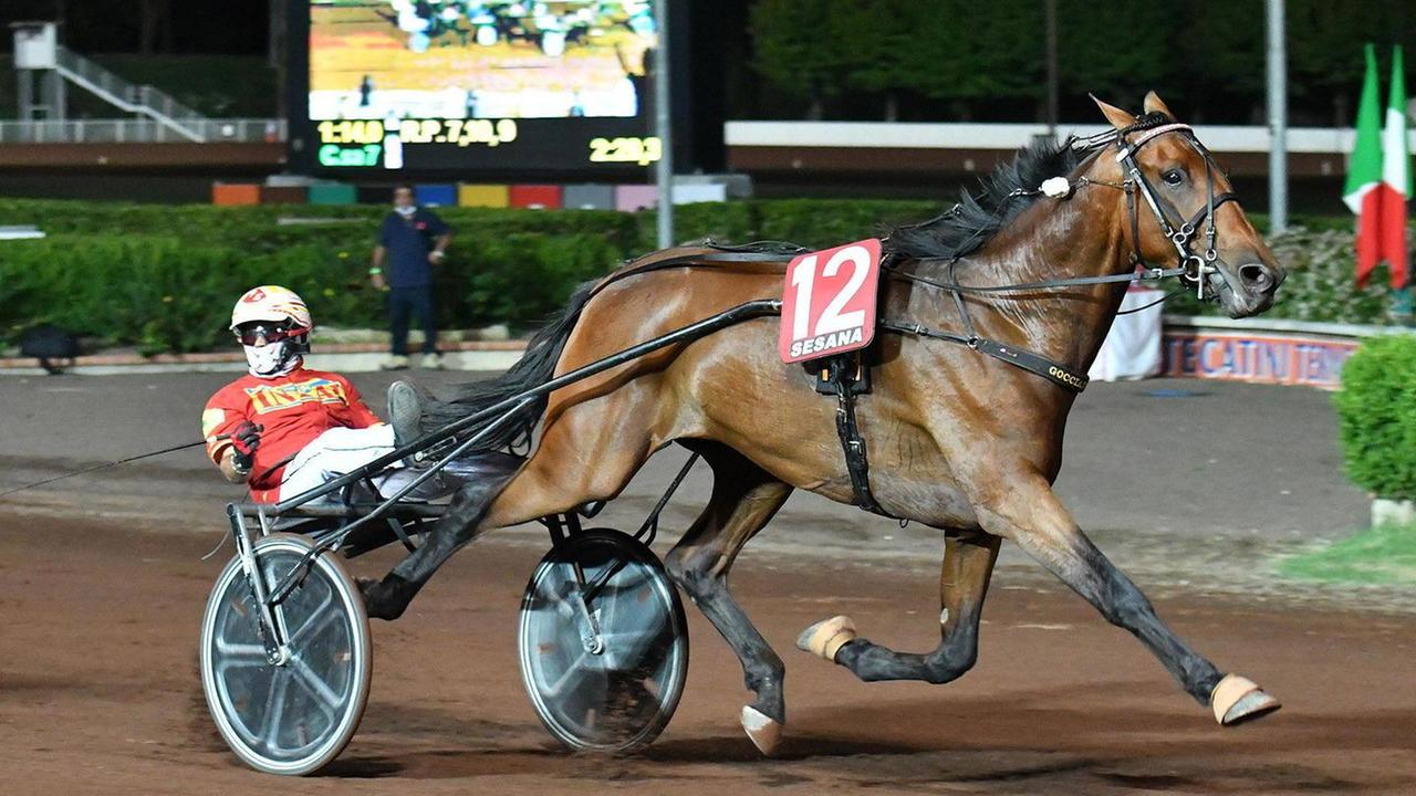 Esposito torna a Montecatini e vince il Gran Premio Bellei