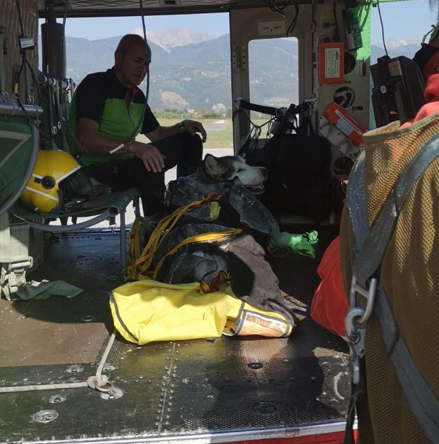 Finisce male per l’Husky la passeggiata sui monti: ricoverato per il caldo