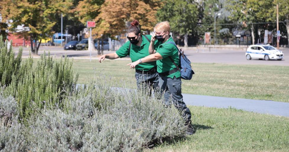 Al Parco Novi Sad cominceranno i lavori per i nuovi spazi dedicati al gioco e al fitness