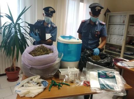 Santa Maria Coghinas, sei chili di droga in casa: aiuto cuoco arrestato