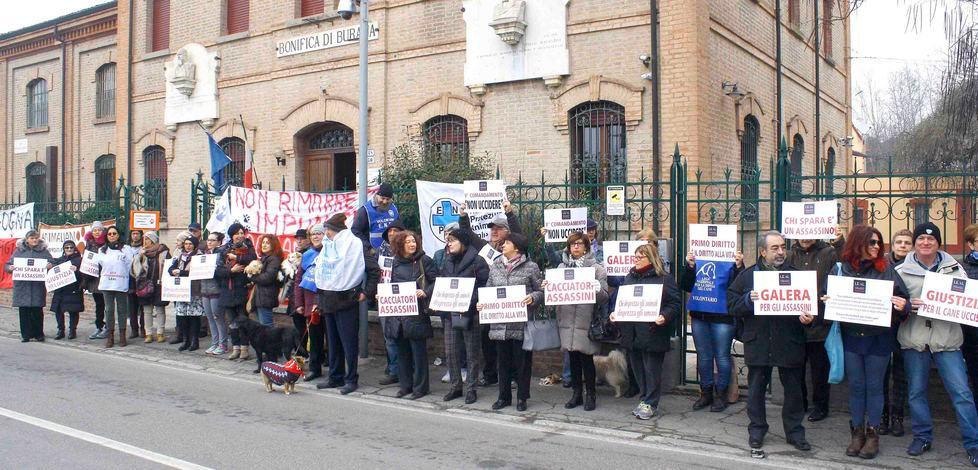 Cane ucciso a fucilate nel Bondenese, via al processo