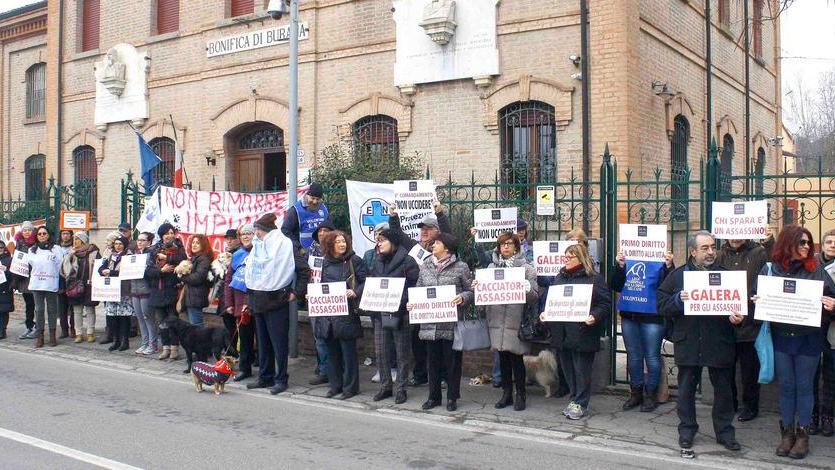 Cane ucciso a fucilate nel Bondenese, via al processo