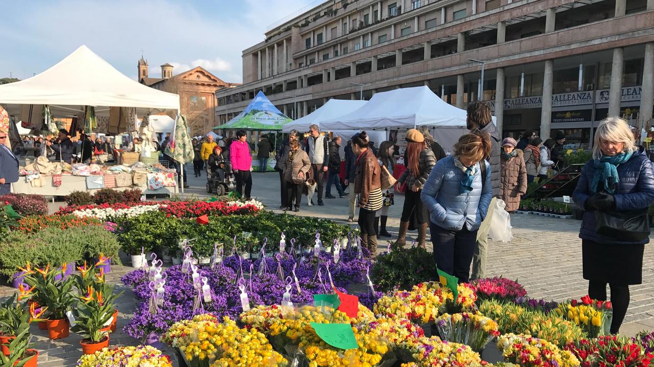 Reggio Emilia in fiore torna sabato e domenica in centro