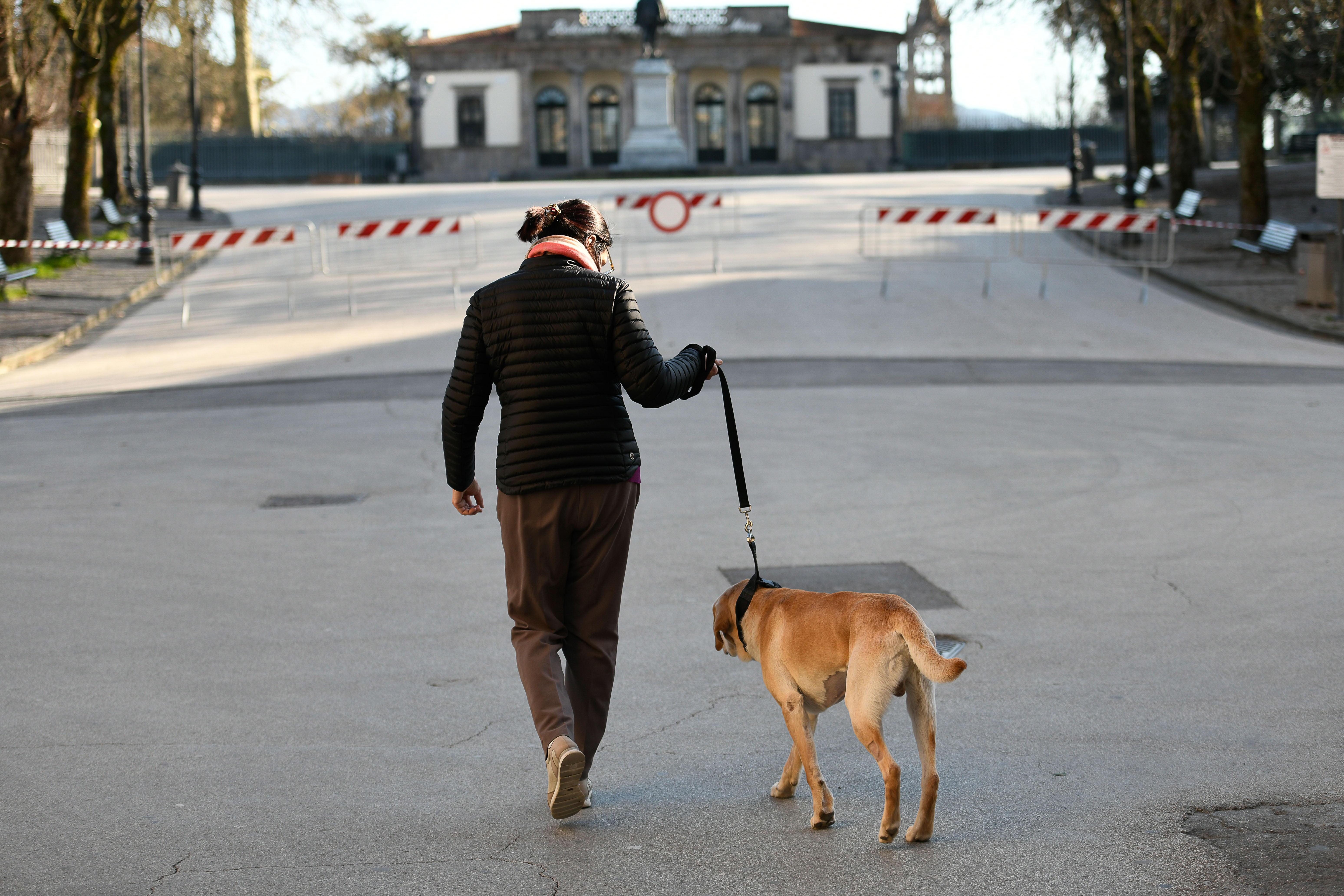 Lucca sarà la prima città smart dell'Unione europea a misura di uomo e animali 