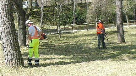 Lavori per la collettività per non perdere il reddito di cittadinanza