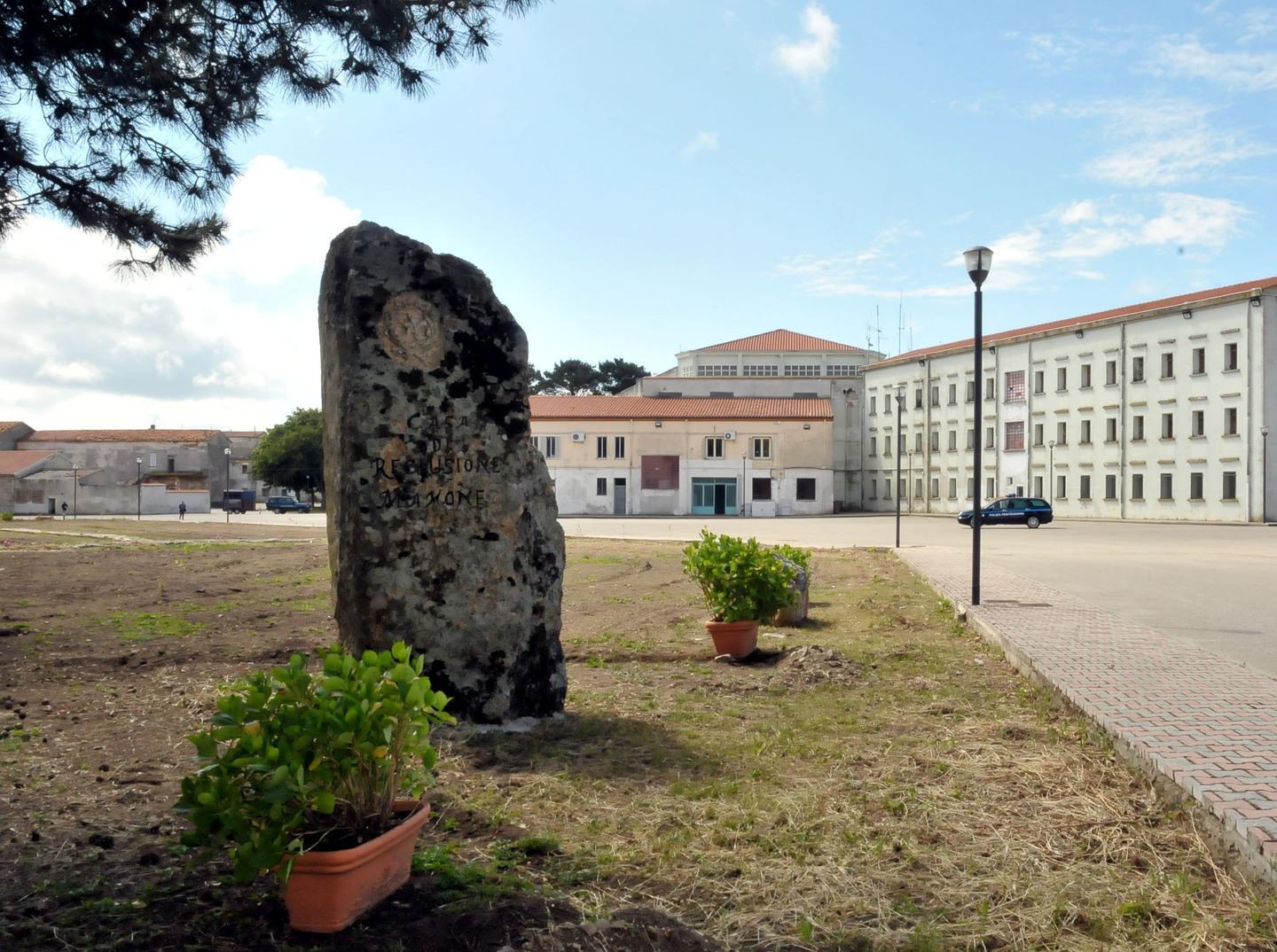 Coltivazione di marijuana, giudizio immediato per sei