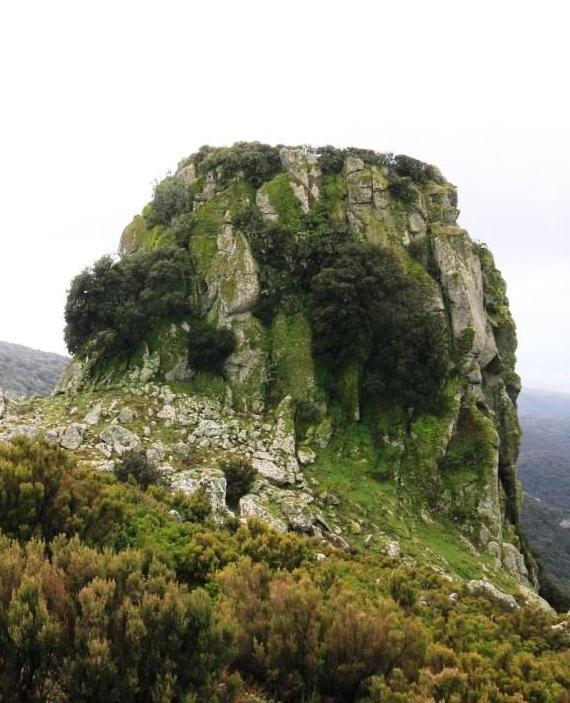 Parco del monte Arci, la rinascita coi fondi UE 