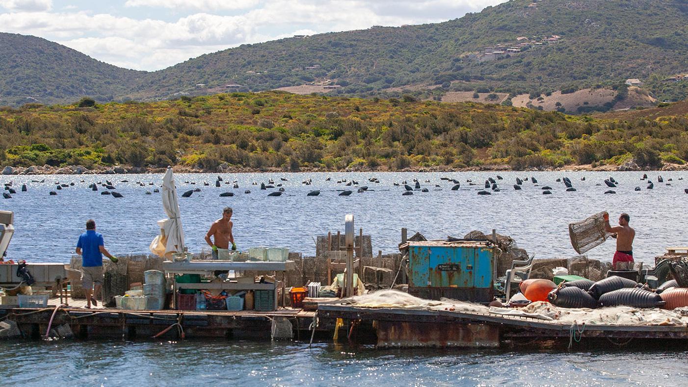 Il proprietario di Coluccia apre l’isola ai visitatori 