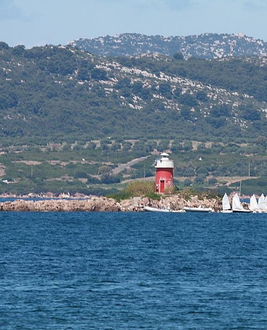 Allevamenti di ostriche: è polemica anche in città 