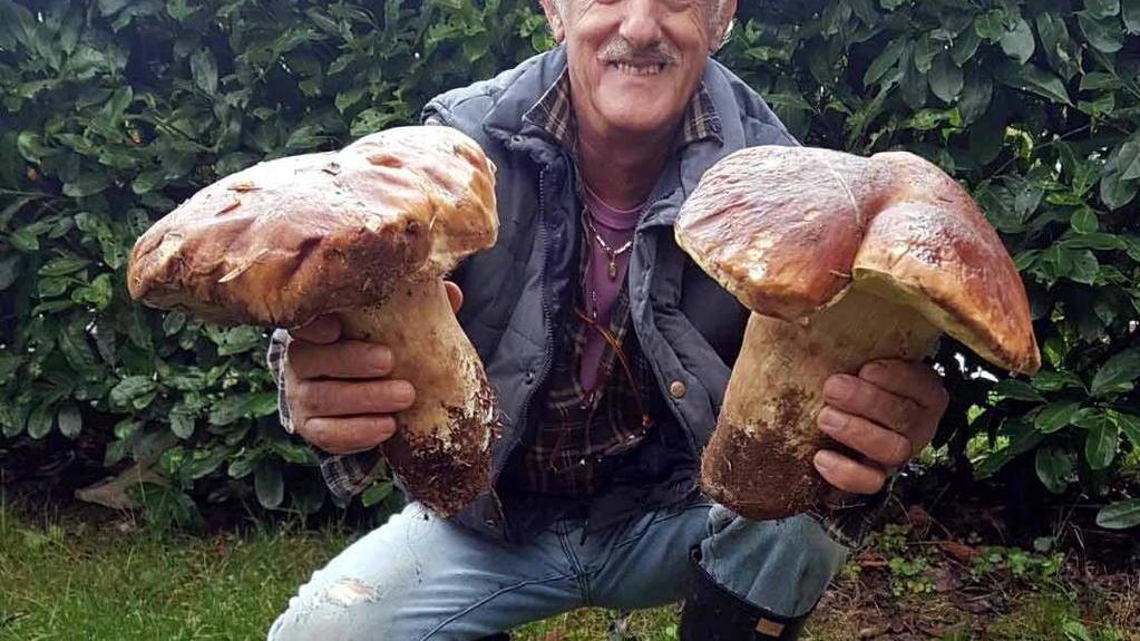 Tutti per funghi, inizio di stagione ok: ma le vendite non sono decollate. Parla l'esperto