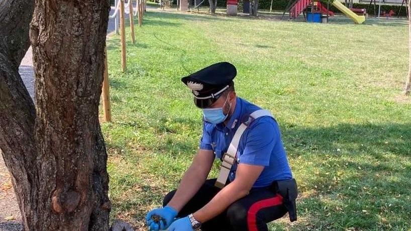 Spacciavano marija e cocaina a decine di giovani, arrestati