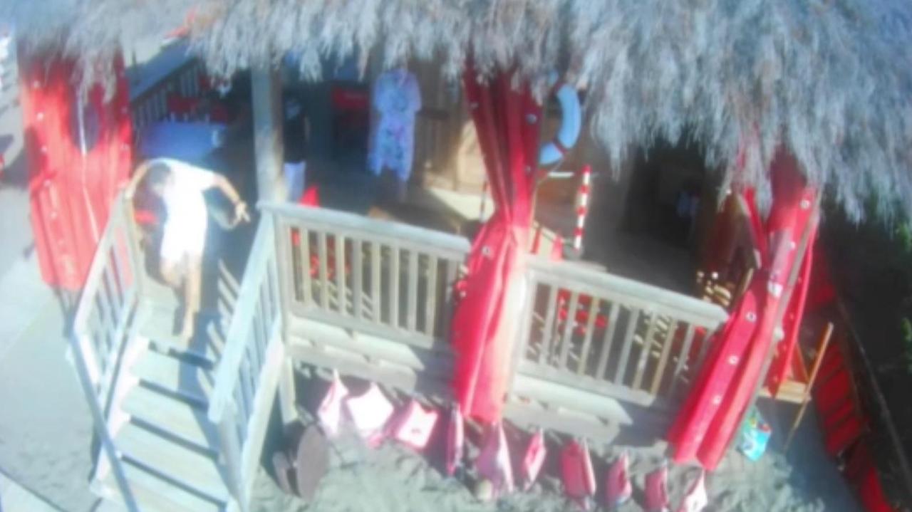 Grillo pubblica un video sull'aggressione al giornalista di Rete4: "Ecco cosa è successo davvero"