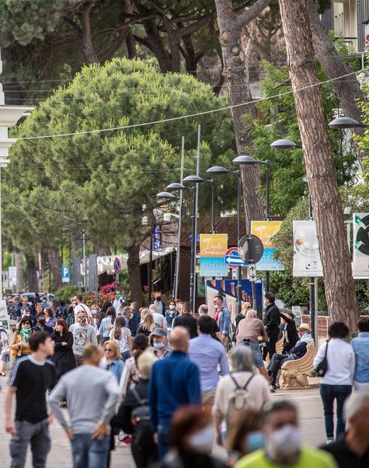 Aperta petizione per salvare gli alberi di viale Carducci