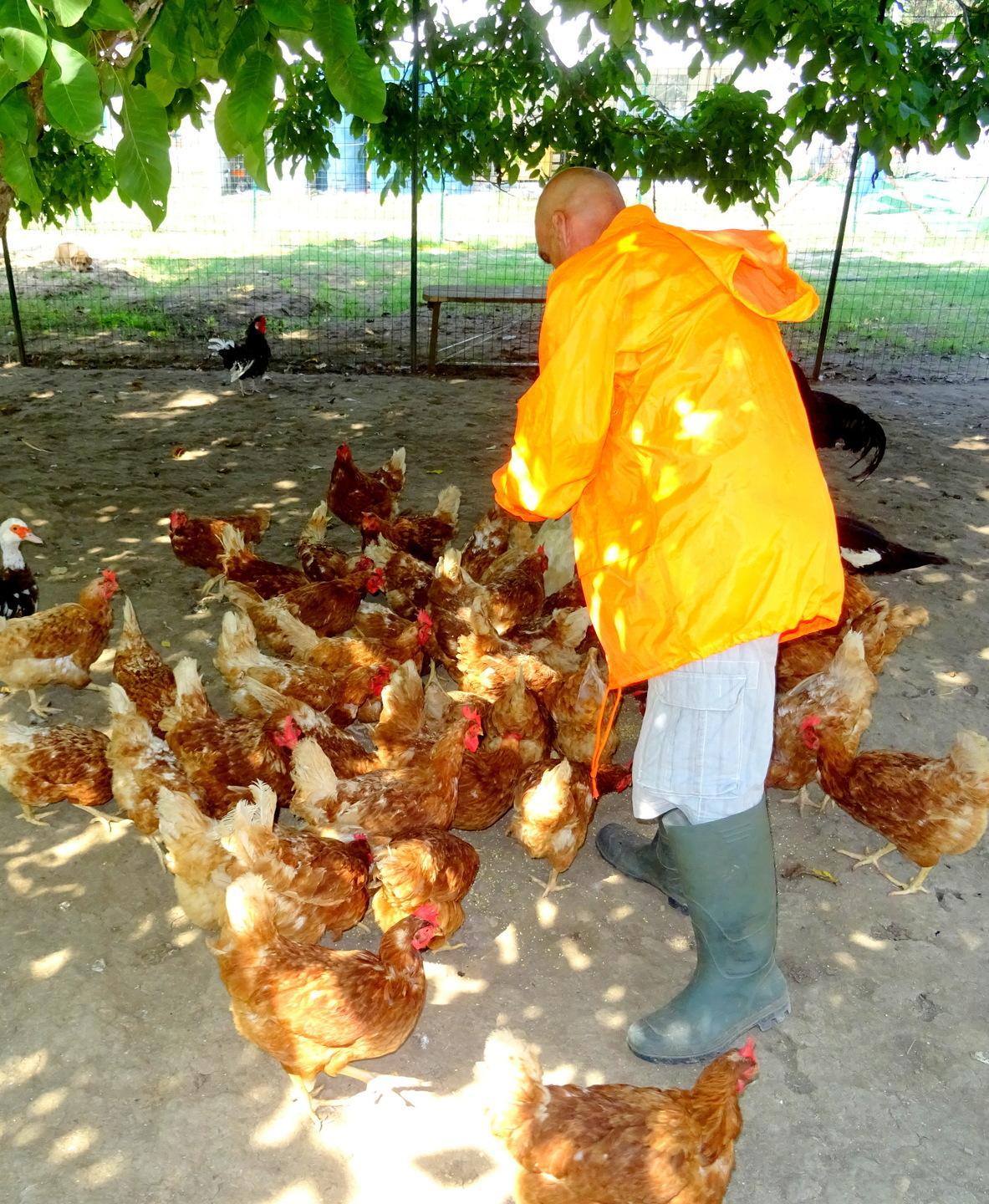 Una nuova pizzeria e anche il chiosco di frutta e verdura