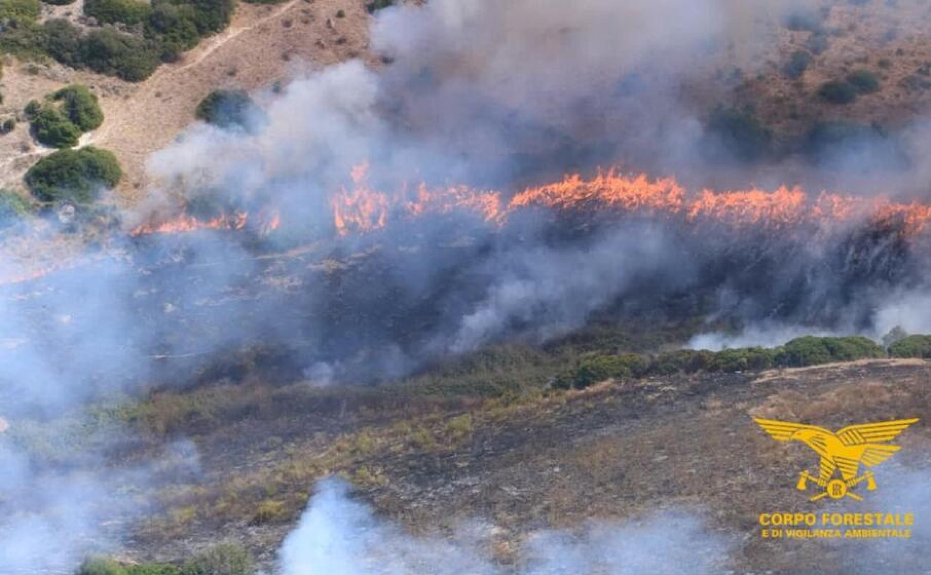 Sette incendi nell'isola, mezzi aerei a Olbia e Codrongianos