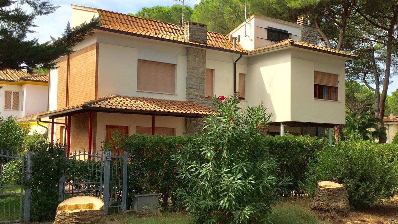 Sono iniziati i lavori per l’abbattimento delle 52 palme di Castagneto colpite da punteruolo rosso
