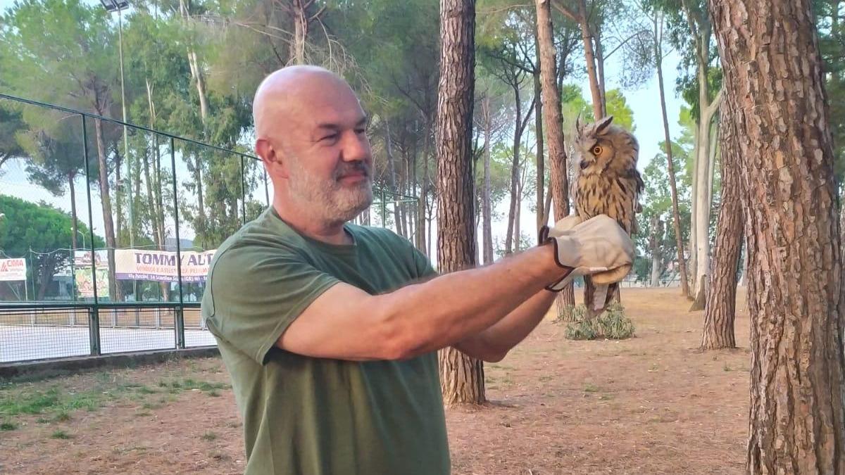 La storia bella di "Motosega". Il piccolo pullo è un signor gufo