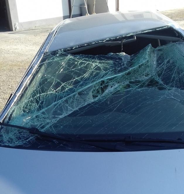 Mesola, sterza per evitare una nutria e distrugge la propria auto 