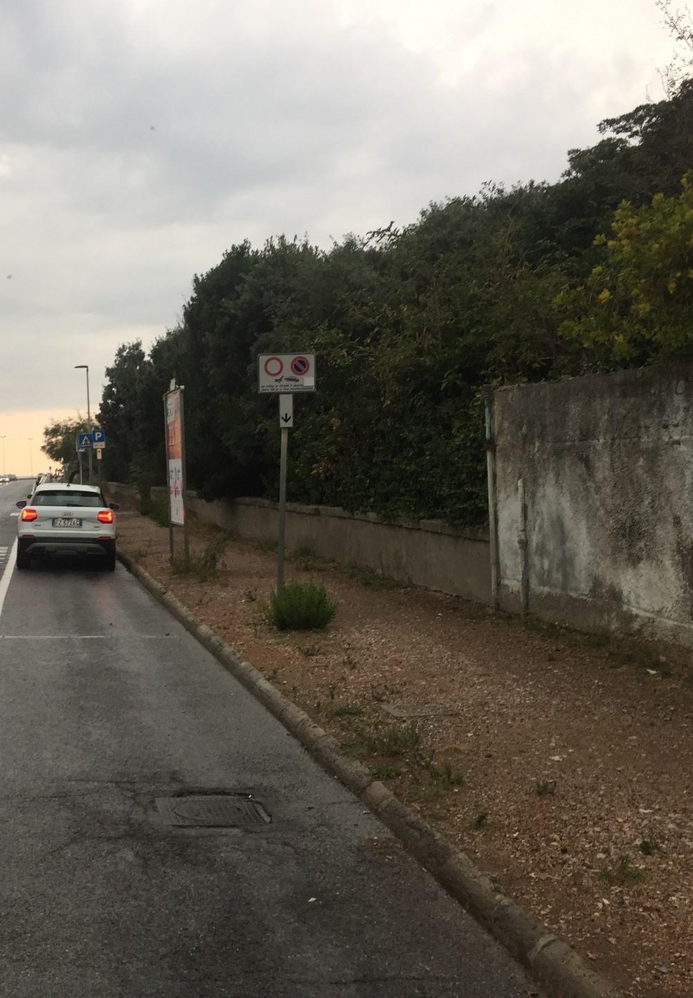 Ristoratrice gravissima dopo lo schianto in scooter sul viale Italia. Il padre: "Aspettiamo buone notizie"
