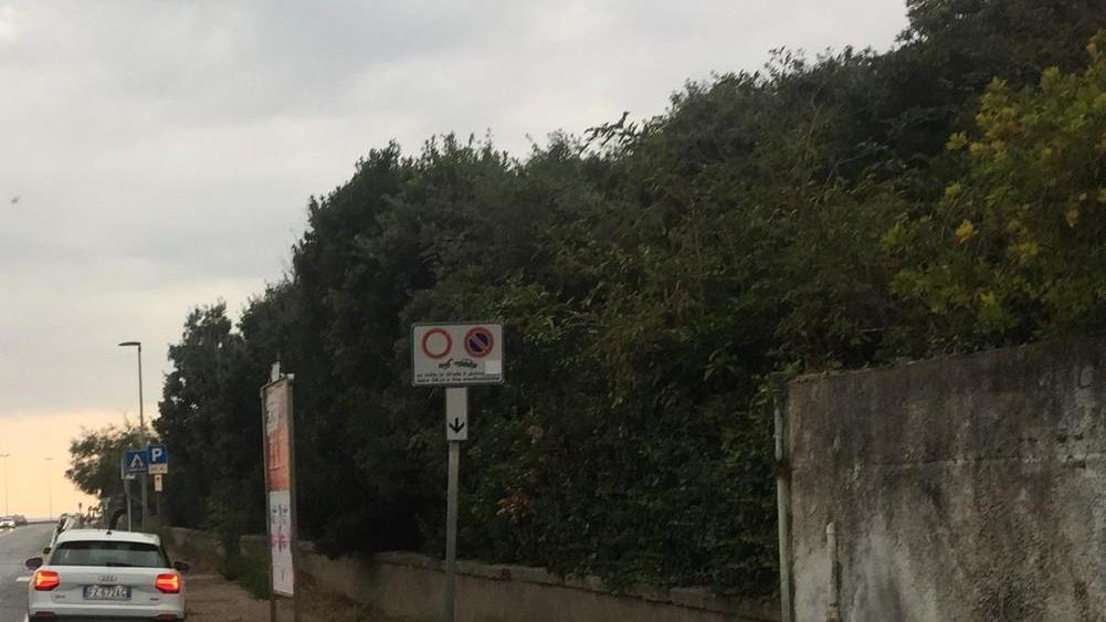Ristoratrice gravissima dopo lo schianto in scooter sul viale Italia. Il padre: "Aspettiamo buone notizie"